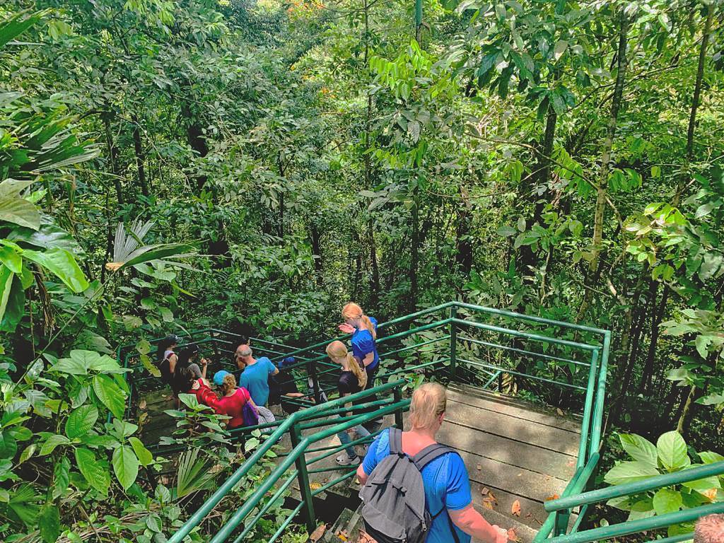 Wildlife observation from boat Tortuguero