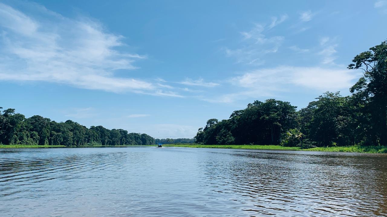 Jungle Tom Safaris tour Tortuguero canals