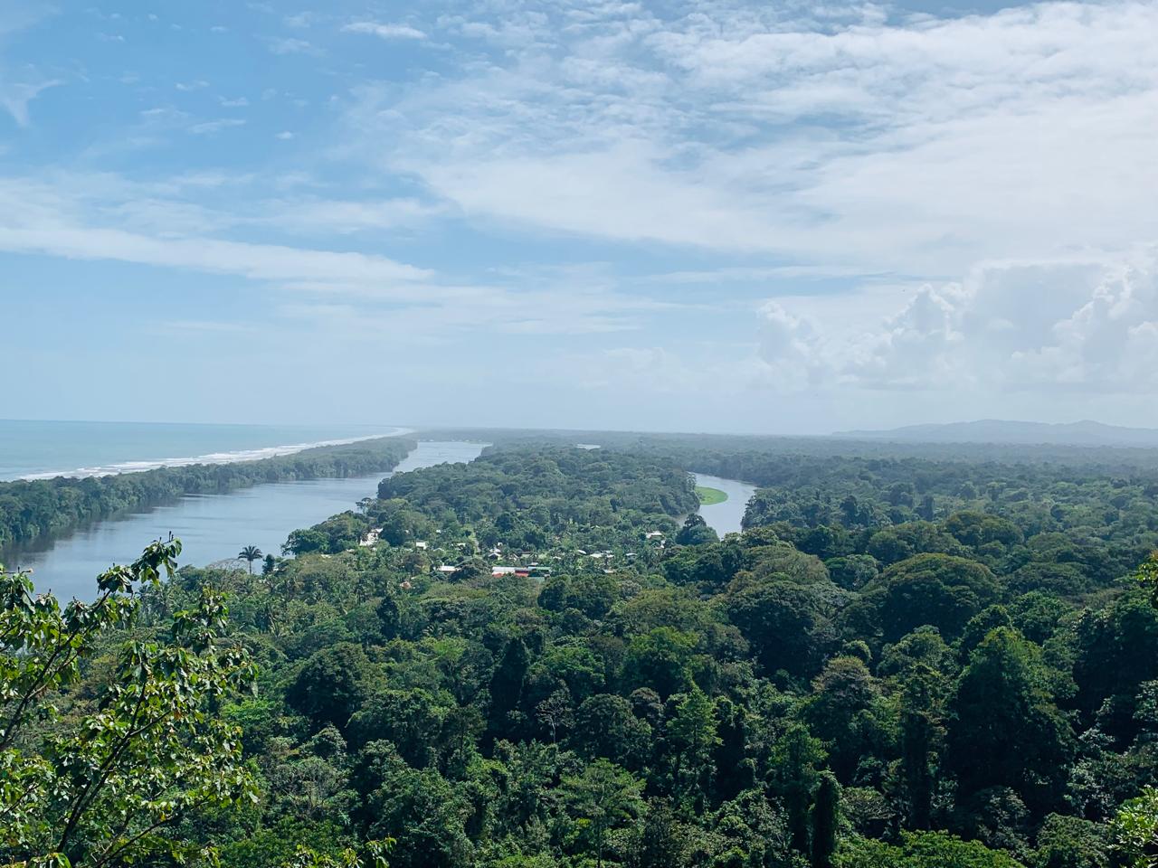 Boat journey through Tortuguero canals