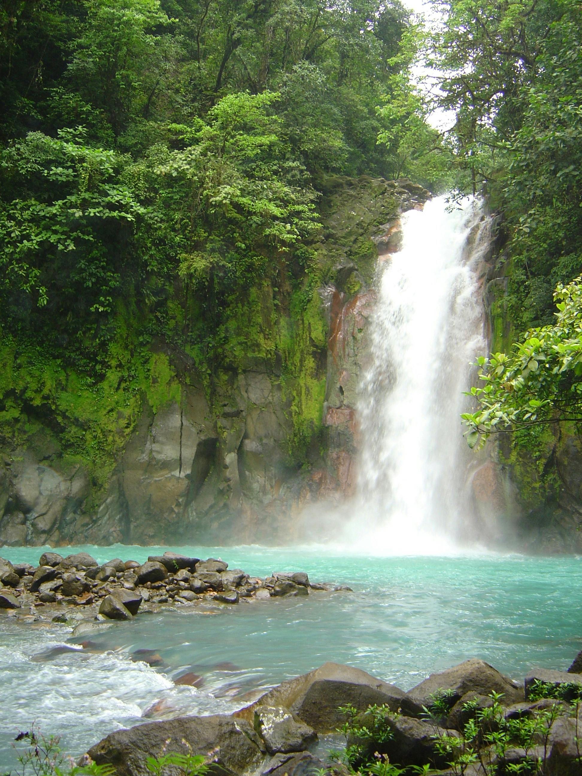 Monteverde Cloud Forest