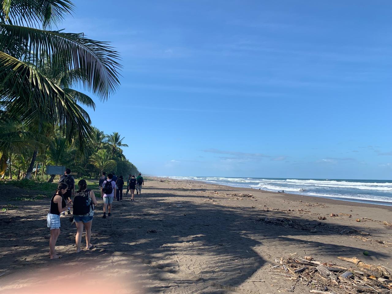 Tortuguero village walk beach Caribbean