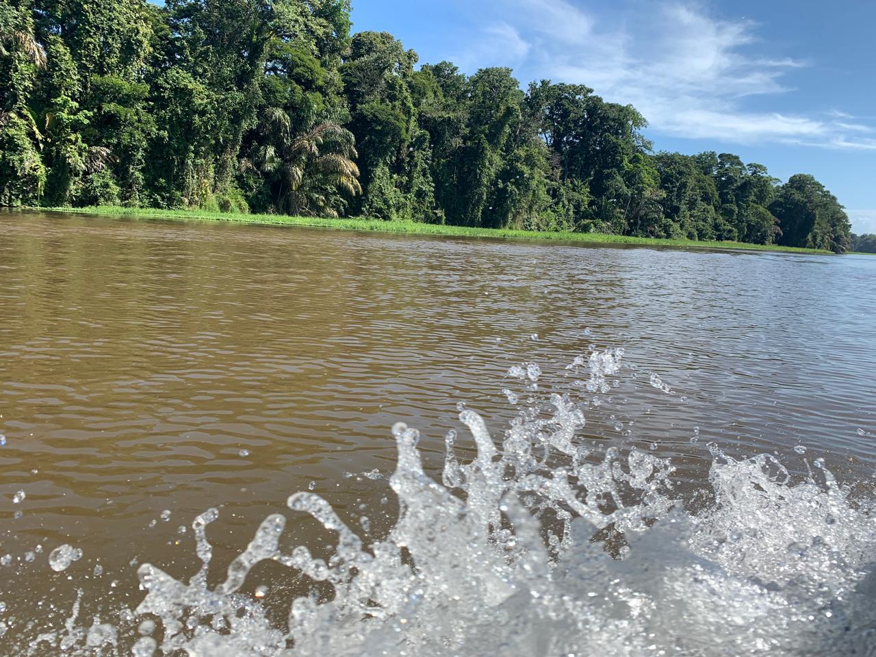 Rainforest boat experience Tortuguero