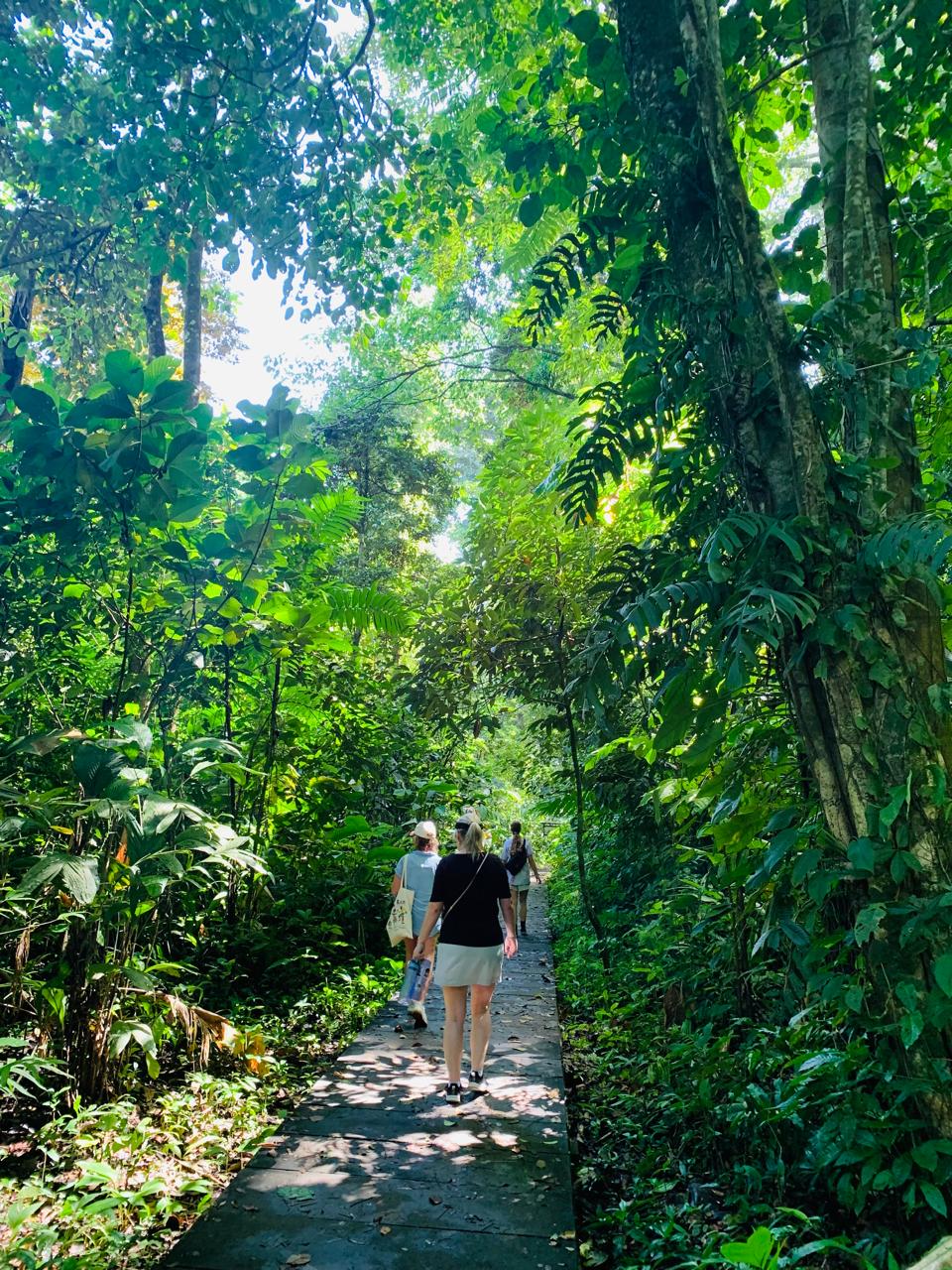 Premium Tour Experience