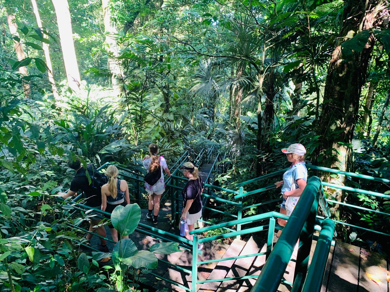 Tortuguero 6