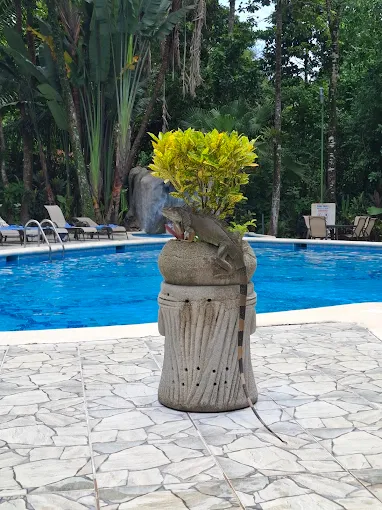 Aninga Lodge photo 28