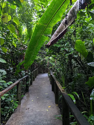 Aninga Lodge photo 37