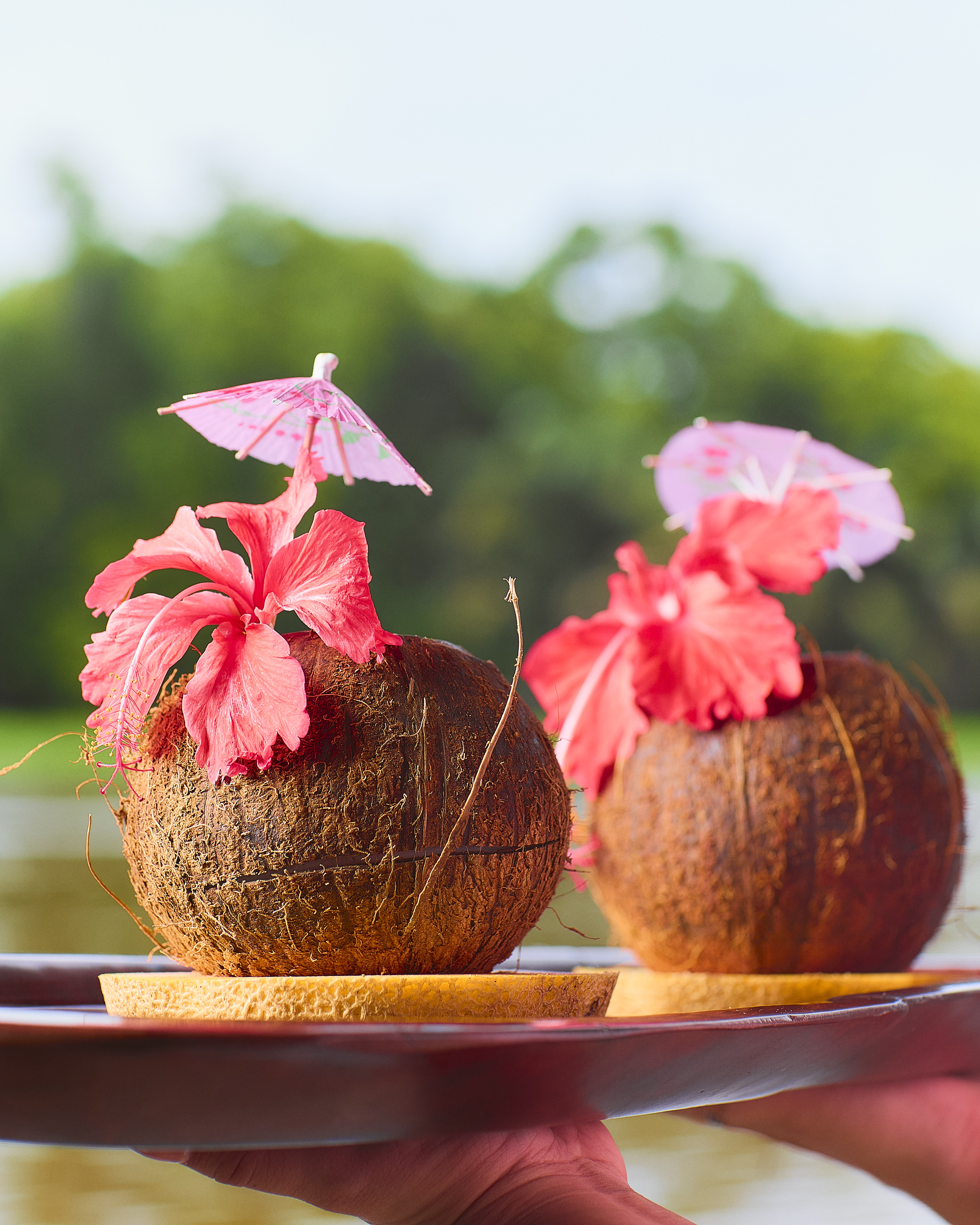 Hotel Evergreen Lodge photo 5