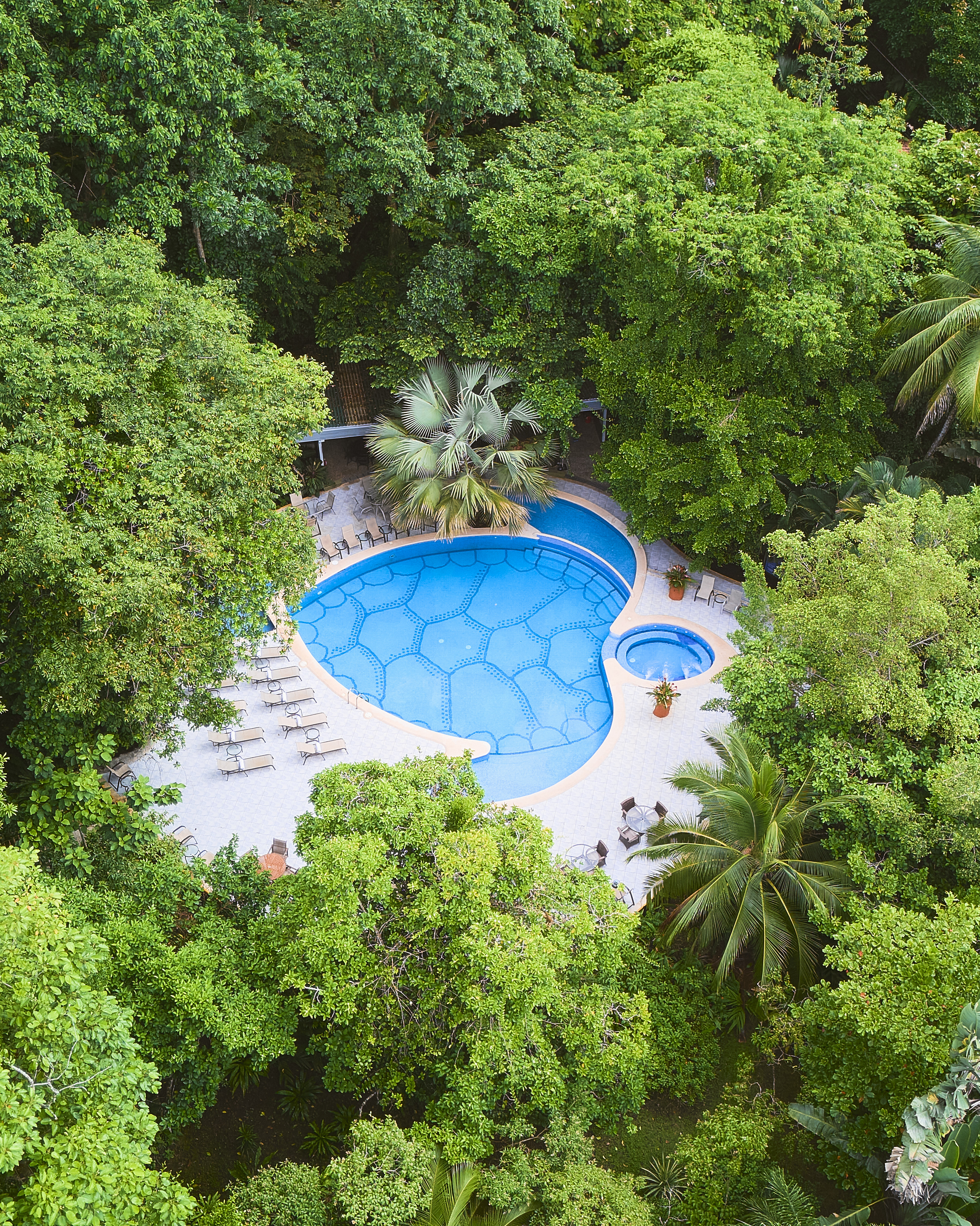 Hotel Evergreen Lodge photo 11