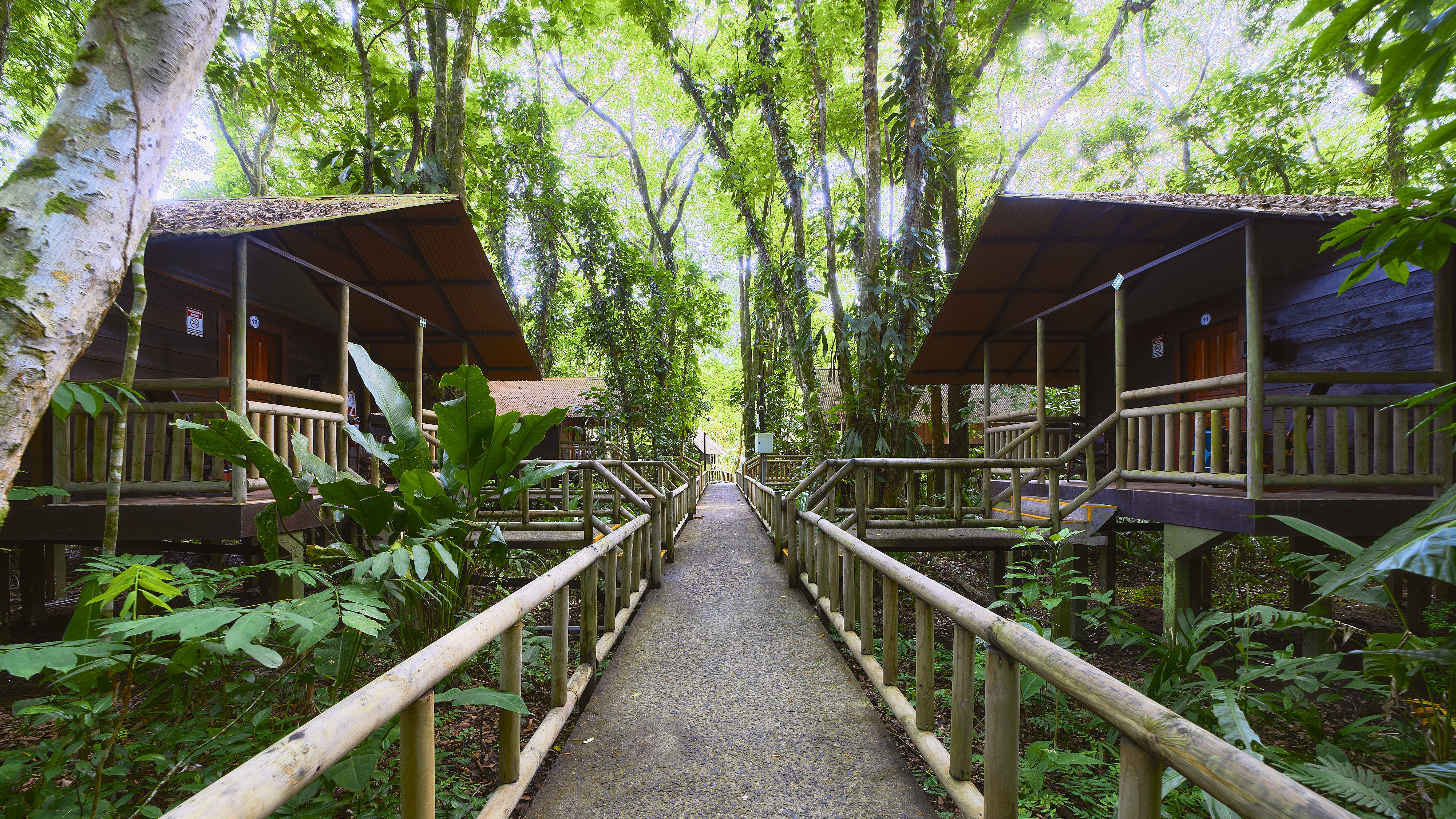 Hotel Evergreen Lodge photo 27