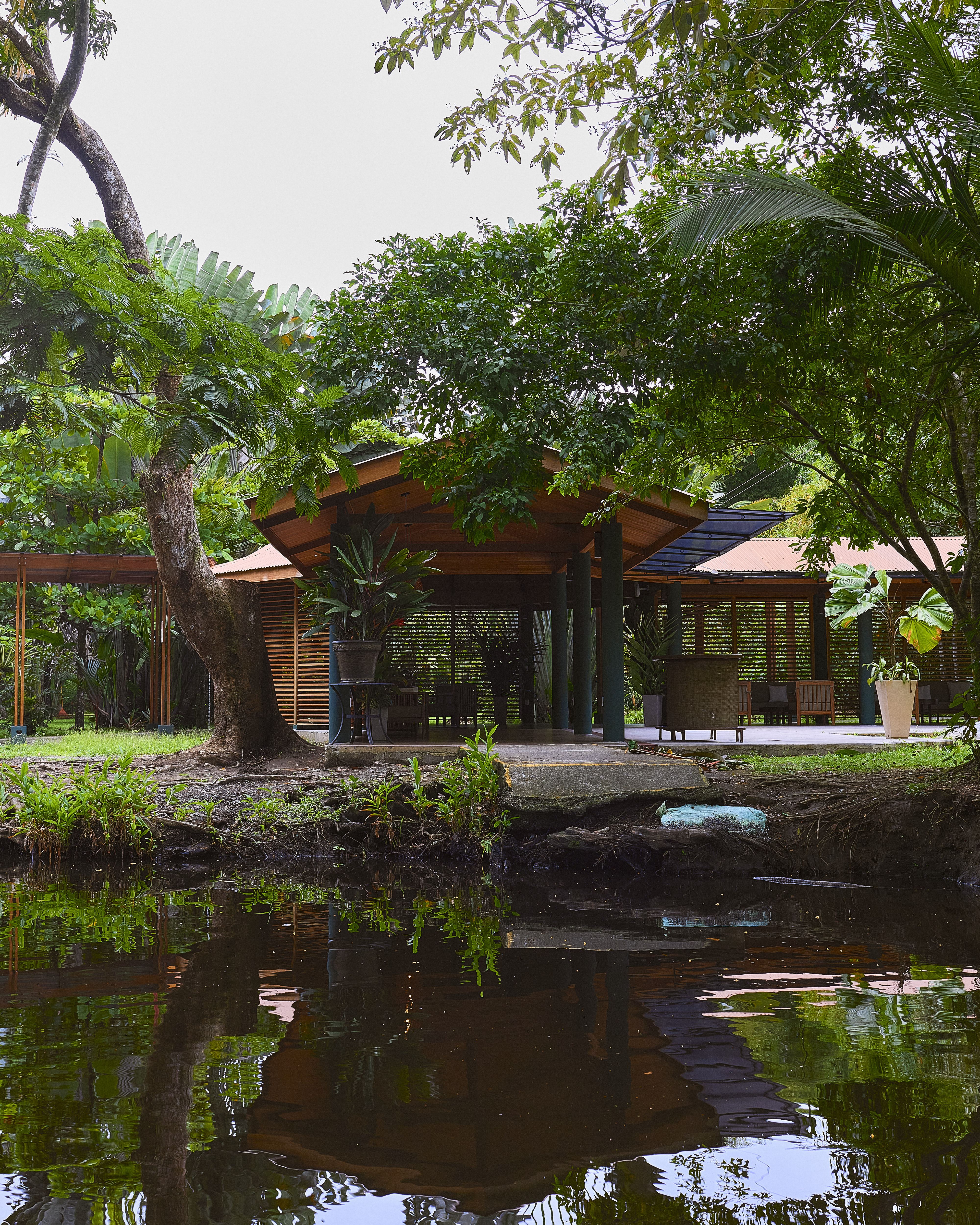 Hotel Evergreen Lodge photo 34