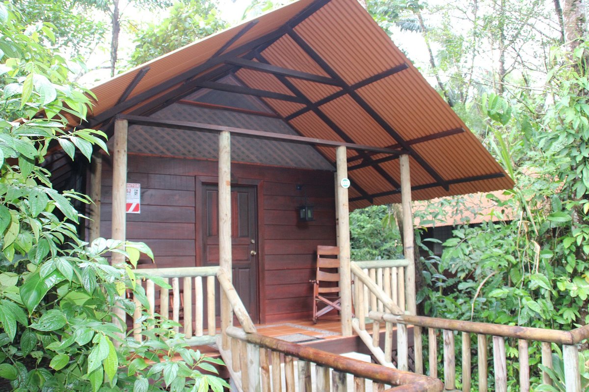 Hotel Evergreen Lodge photo 15