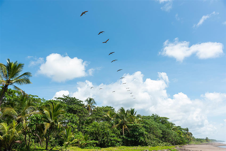 Laguna Lodge photo 21