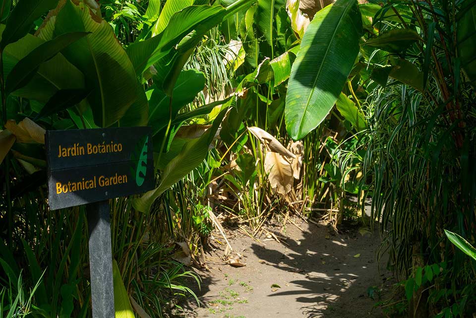 Laguna Lodge photo 24