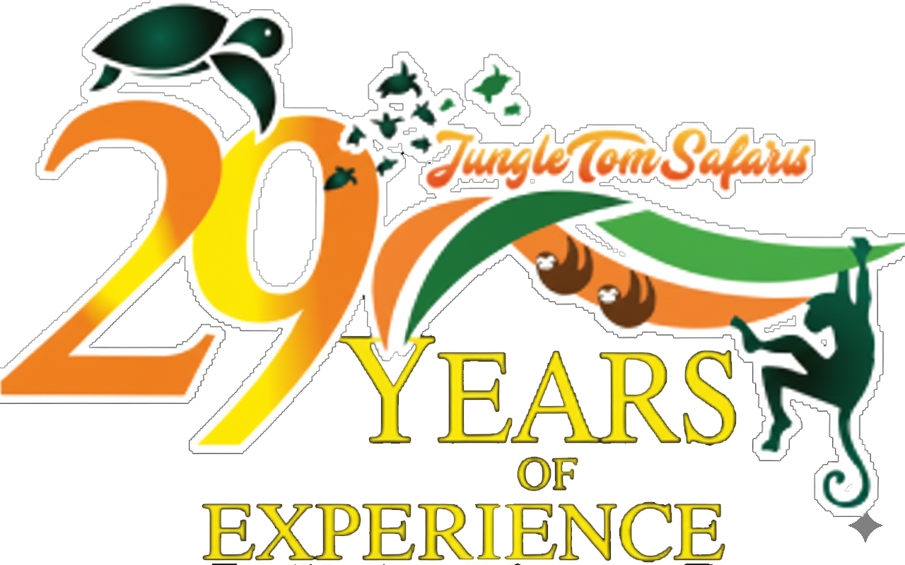 29 Years Logo