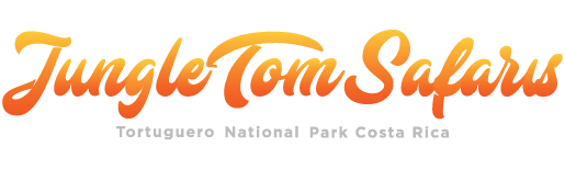 Jungle Tom Safaris secondary logo