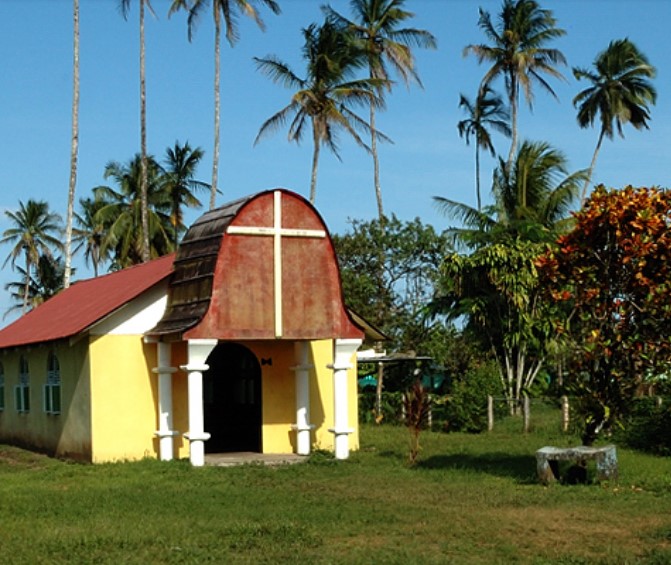 Tortuguero one-day experience photo 11