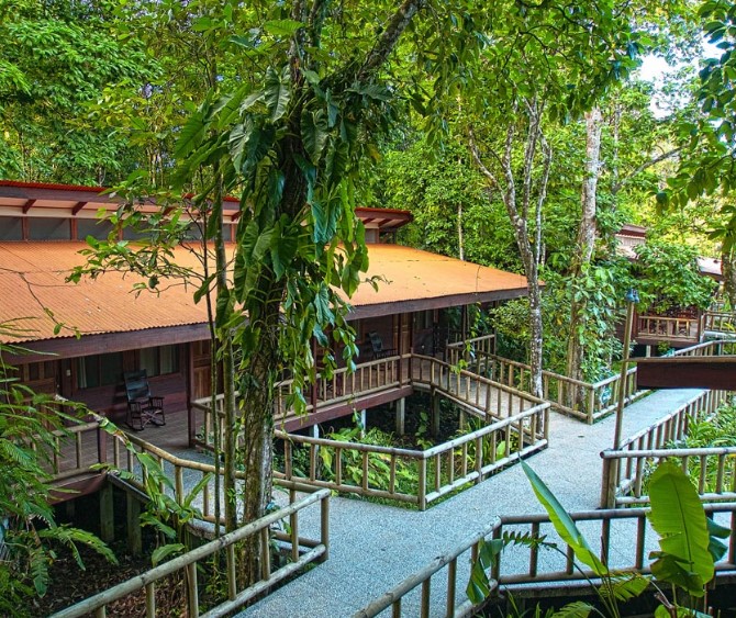 Tortuguero one-day experience photo 13