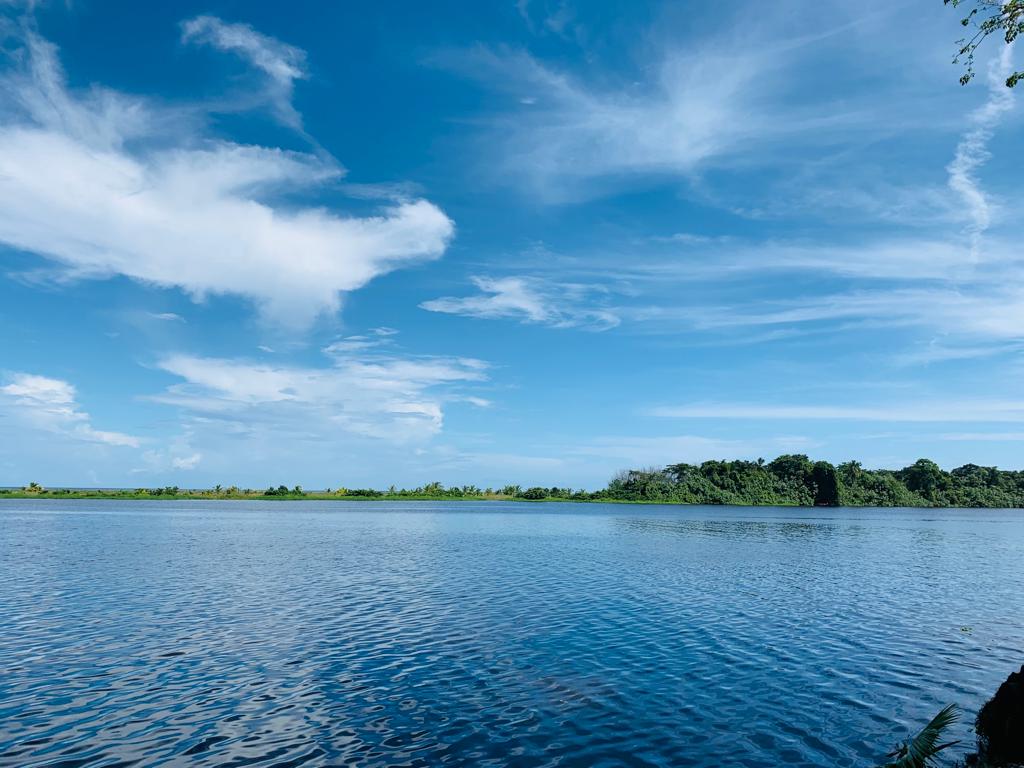 Tortuguero one-day experience photo 19