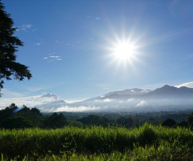 Tortuguero one-day experience photo 2