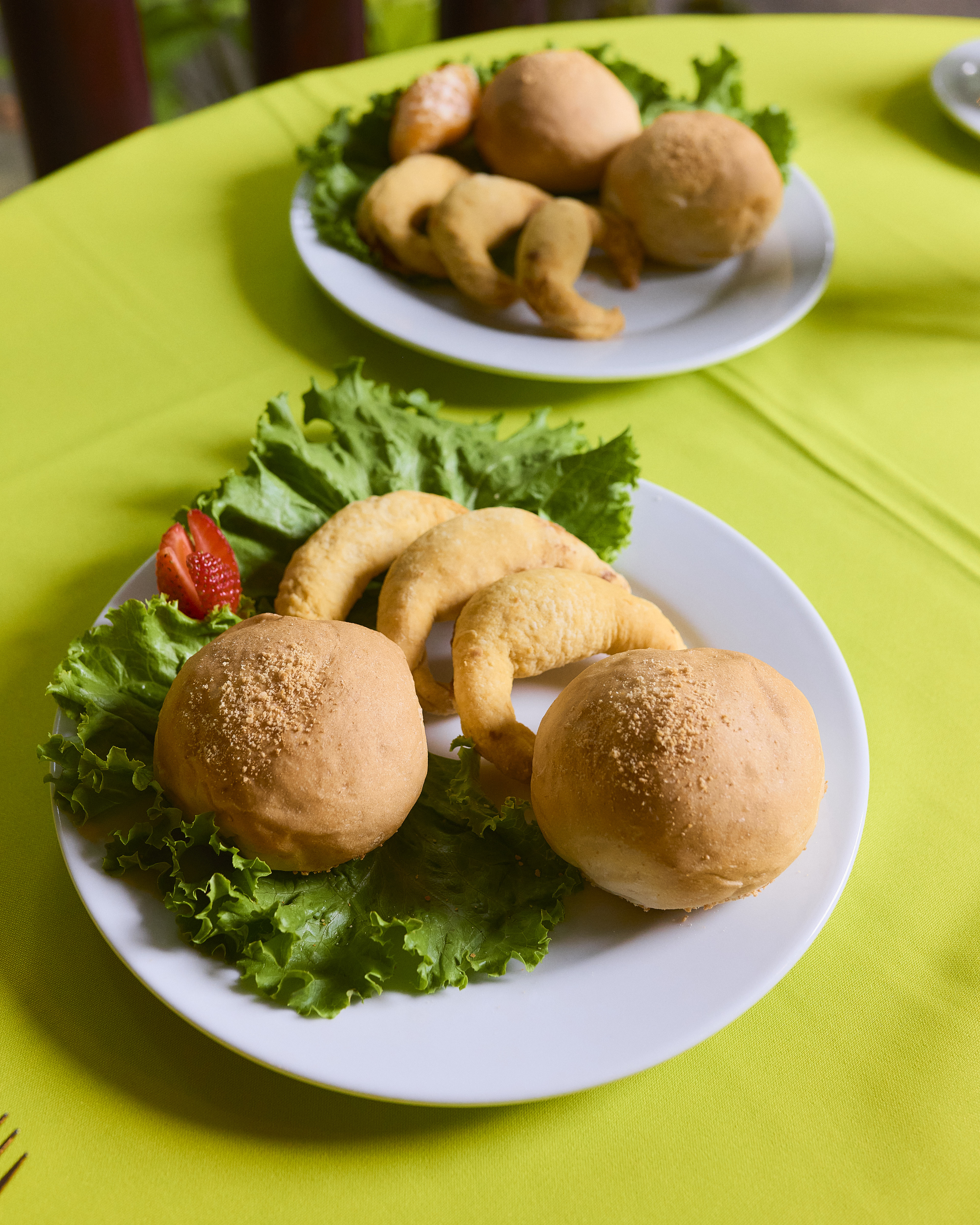 Tortuguero one-day experience photo 21