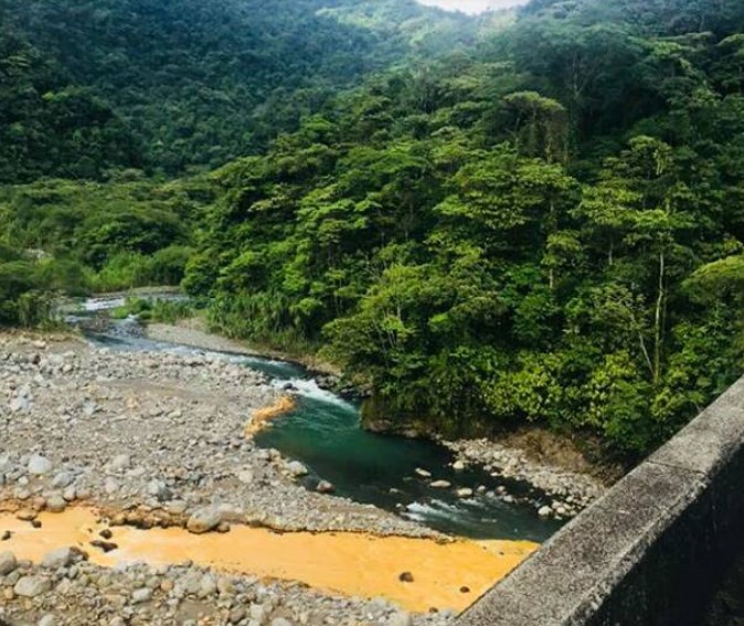 Tortuguero one-day experience photo 5