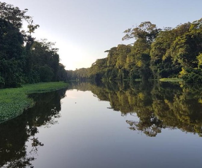 Tortuguero one-day experience photo 7