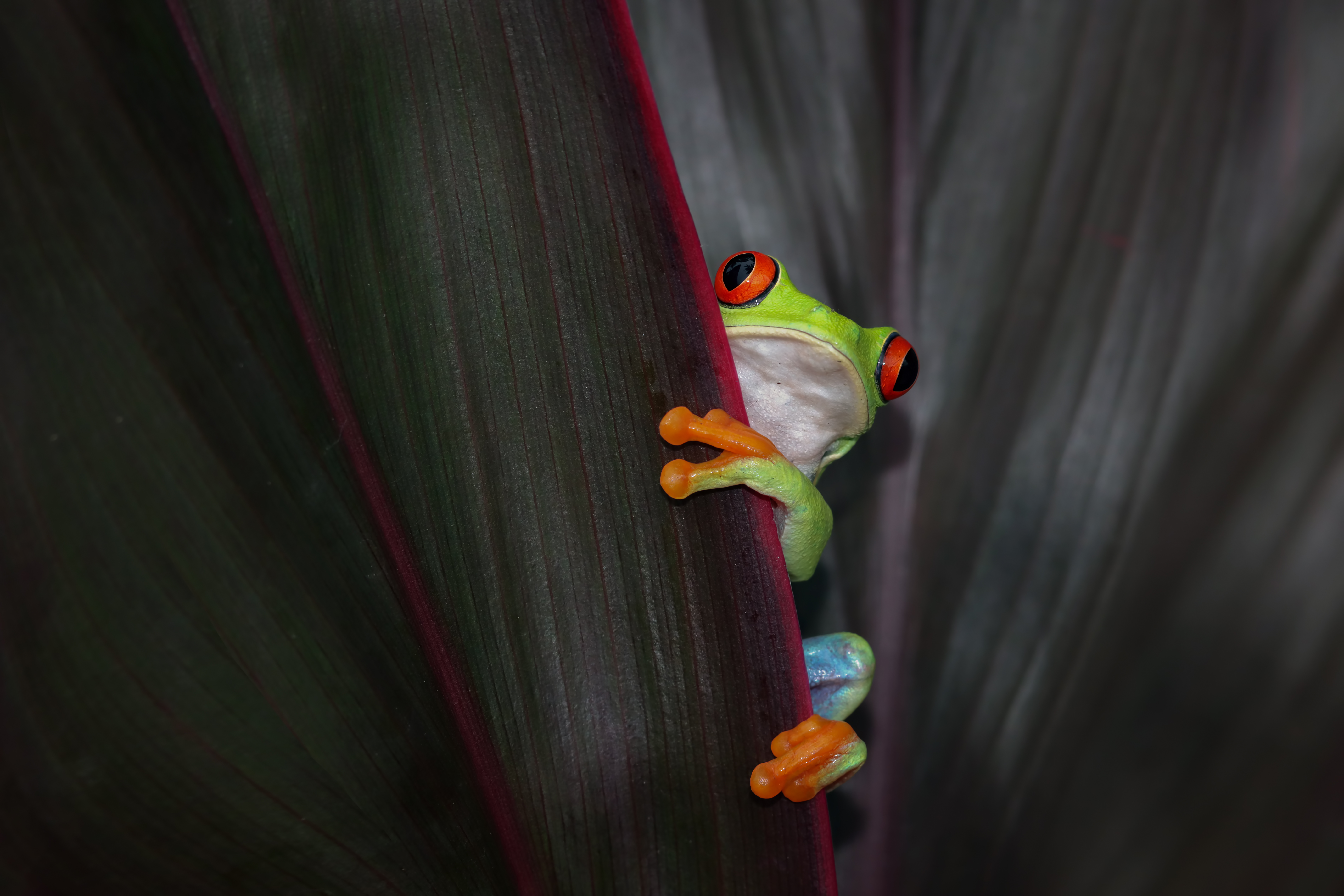 Contact Jungle Tom Safaris 5