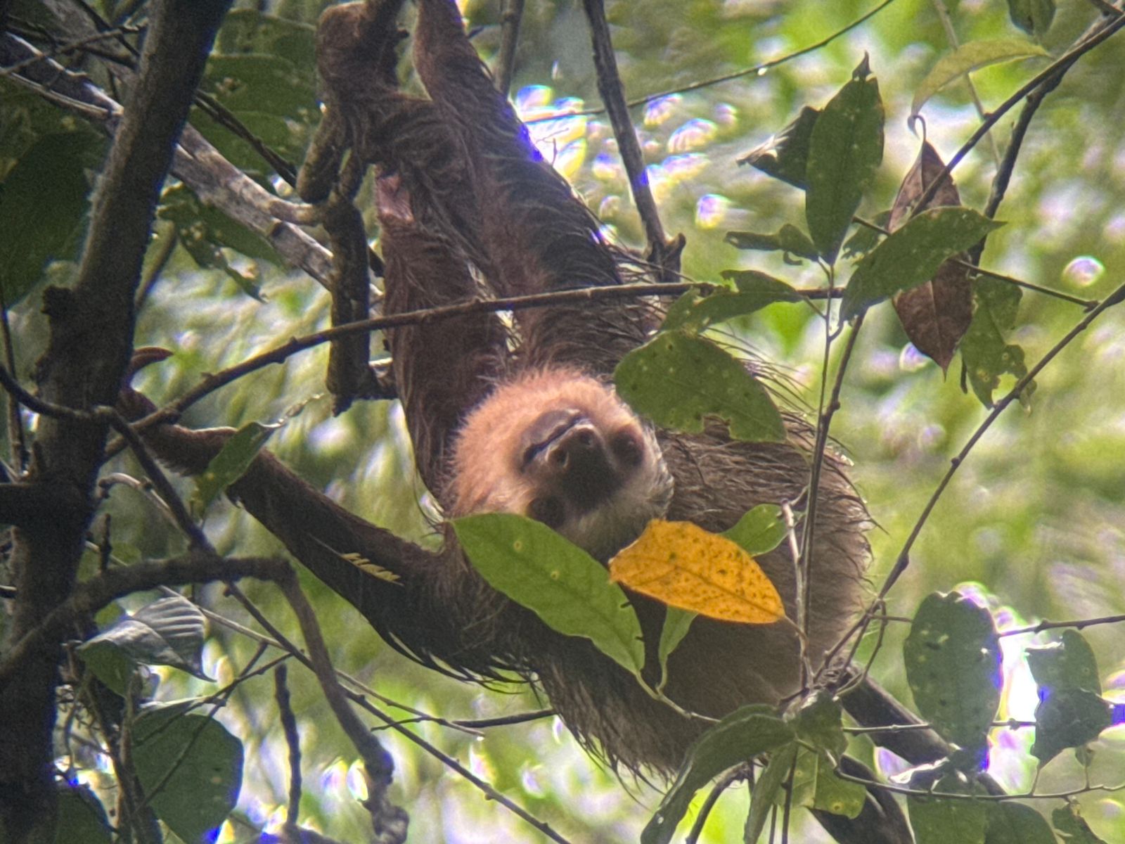 Contact Jungle Tom Safaris 6