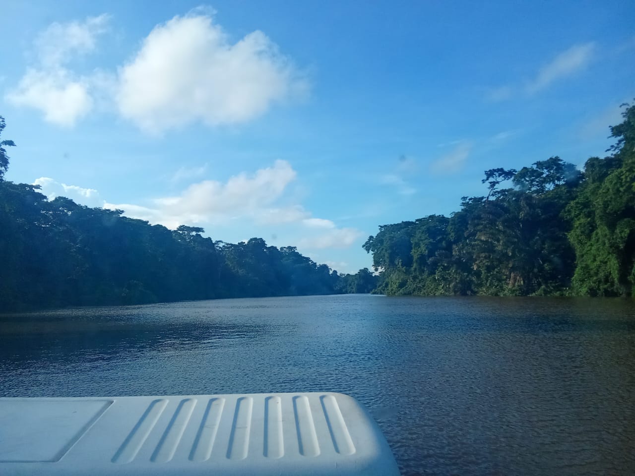 Three day Tortuguero gallery photo 26