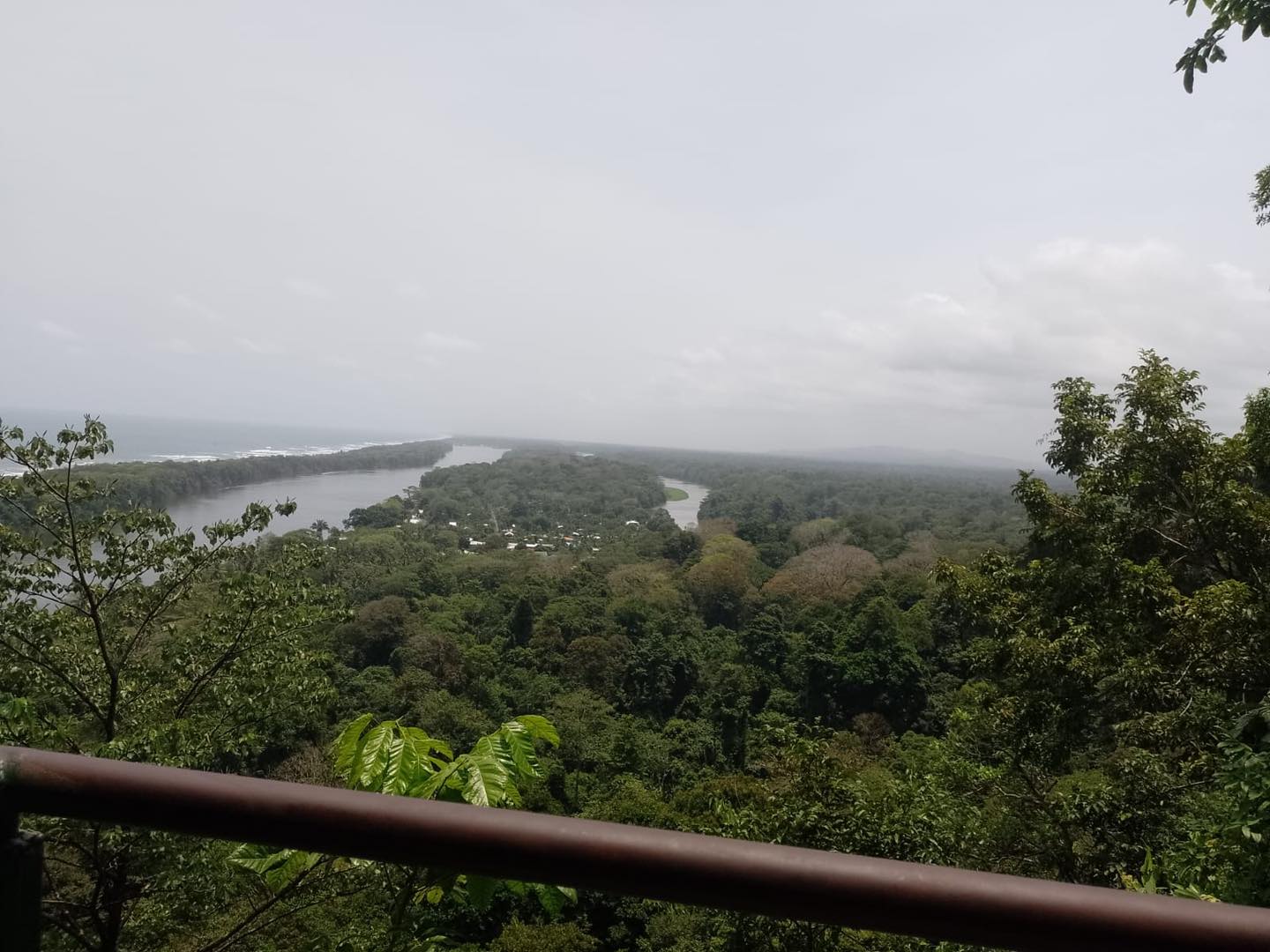 Two day Tortuguero gallery photo 17