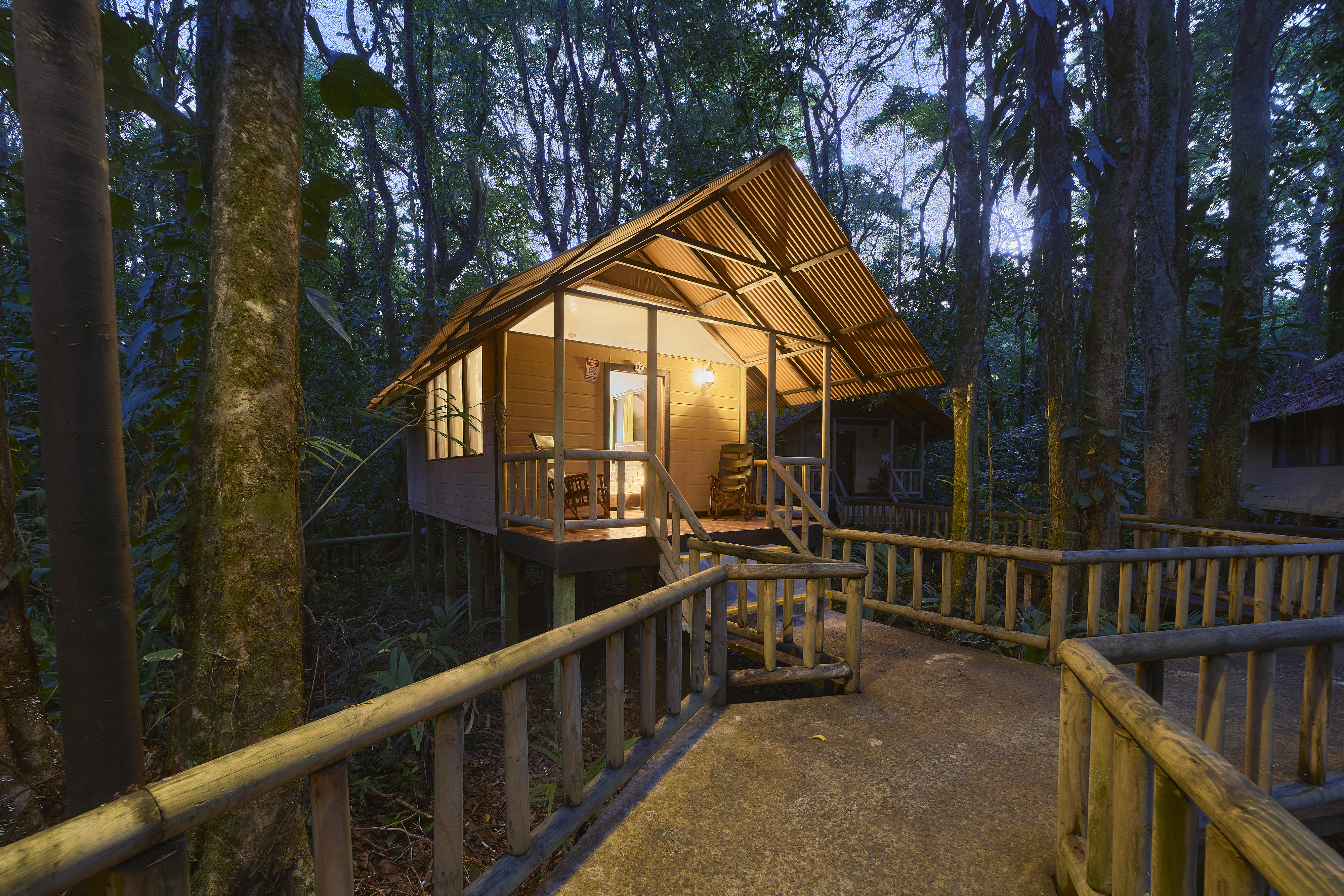 Two day Tortuguero gallery photo 24